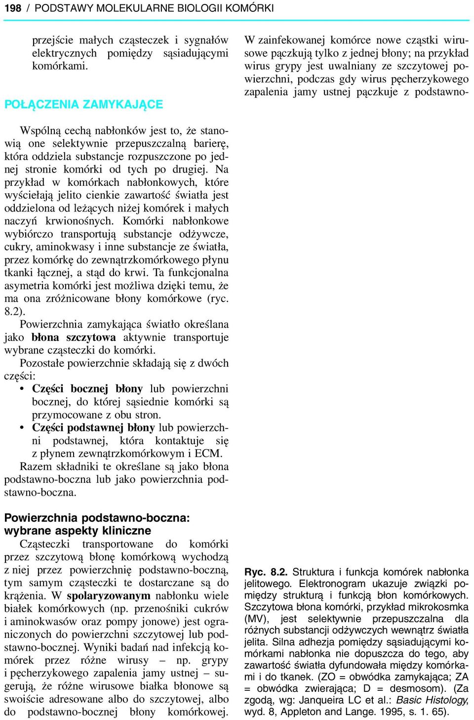 zapalenia jamy ustnej pączkuje z podstawno- Wspólną cechą nabłonków jest to, że stanowią one selektywnie przepuszczalną barierę, która oddziela substancje rozpuszczone po jednej stronie komórki od