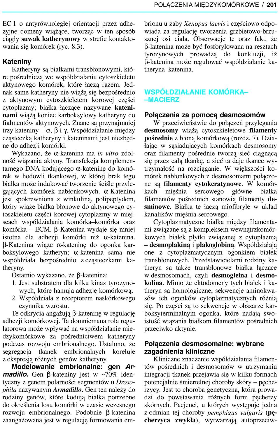 Jednak same katheryny nie wiążą się bezpośrednio z aktynowym cytoszkieletem korowej części cytoplazmy; białka łączące nazywane kateninami wiążą koniec karboksylowy katheryny do fialmentów aktynowych.