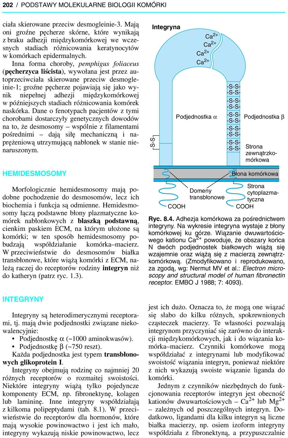 Inna forma choroby, pemphigus foliaceus (pęcherzyca liścista), wywołana jest przez autoprzeciwciała skierowane przeciw desmogleinie-1; groźne pęcherze pojawiają się jako wynik niepełnej adhezji