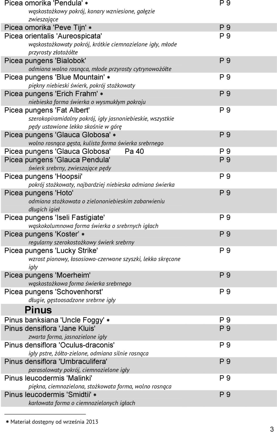 Frahm' niebieska forma świerka o wysmukłym pokroju Picea pungens 'Fat Albert' szerokopiramidalny pokrój, igły jasnoniebieskie, wszystkie pędy ustawione lekko skośnie w górę Picea pungens 'Glauca