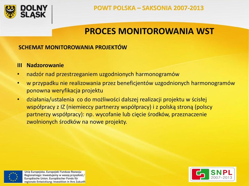 działania/ustalenia co do możliwości dalszej realizacji projektu w ścisłej współpracy z IZ (niemieccy partnerzy