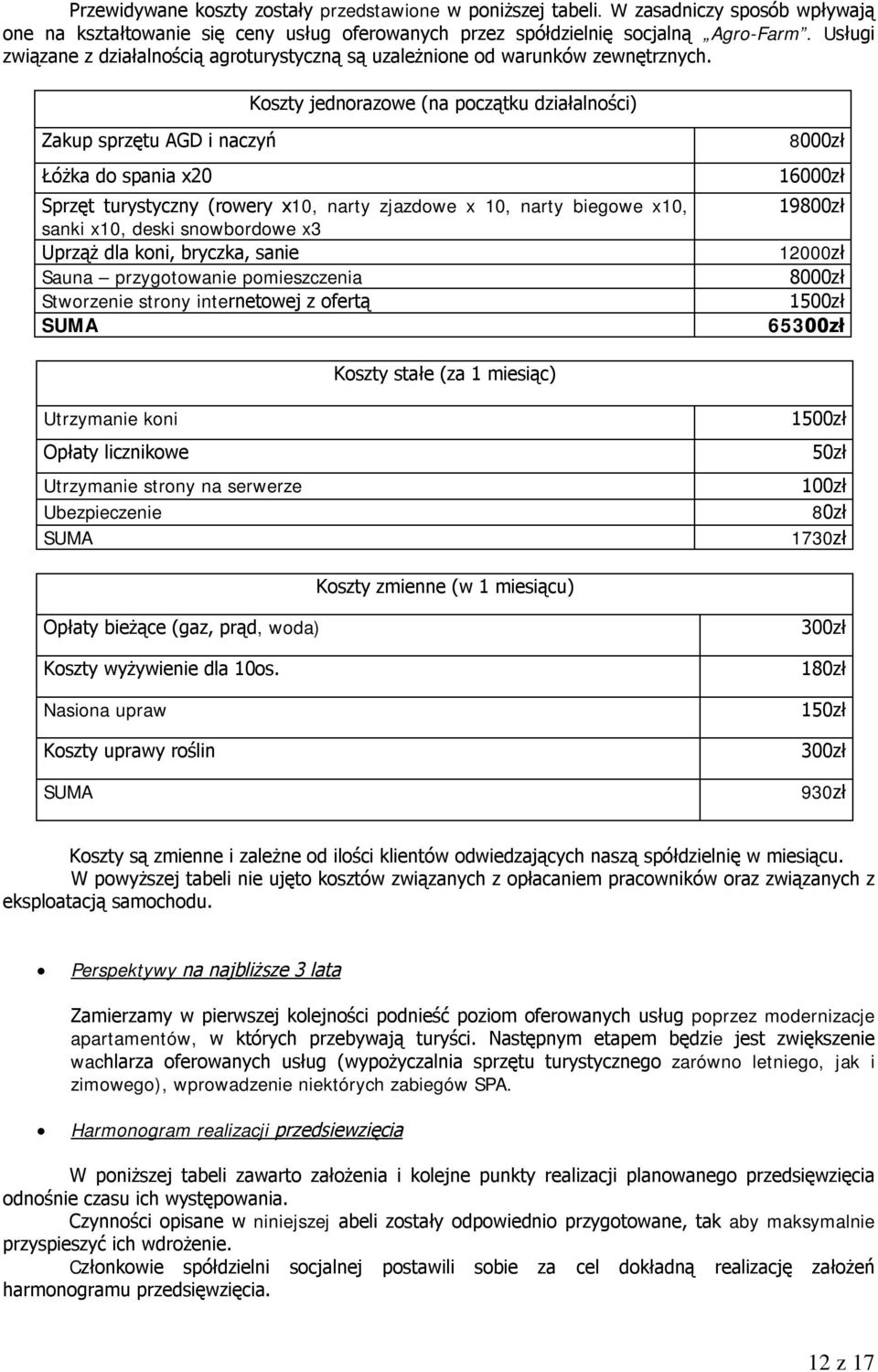 Koszty jednorazowe (na początku działalności) Zakup sprzętu AGD i naczyń Łóżka do spania x20 Sprzęt turystyczny (rowery x10, narty zjazdowe x 10, narty biegowe x10, sanki x10, deski snowbordowe x3