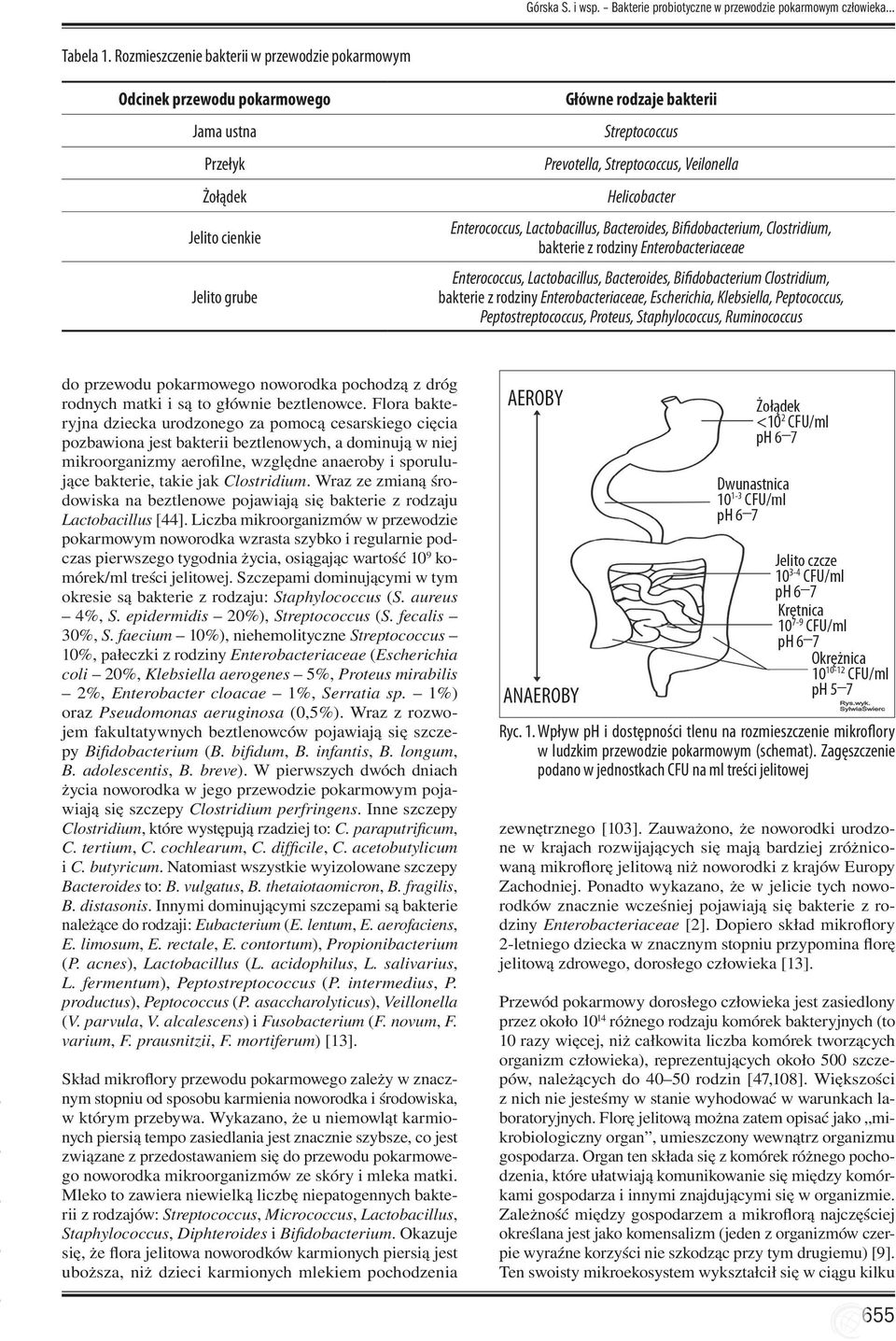 Veilonella Helicobacter Enterococcus, Lactobacillus, Bacteroides, Bifidobacterium, Clostridium, bakterie z rodziny Enterobacteriaceae Enterococcus, Lactobacillus, Bacteroides, Bifidobacterium