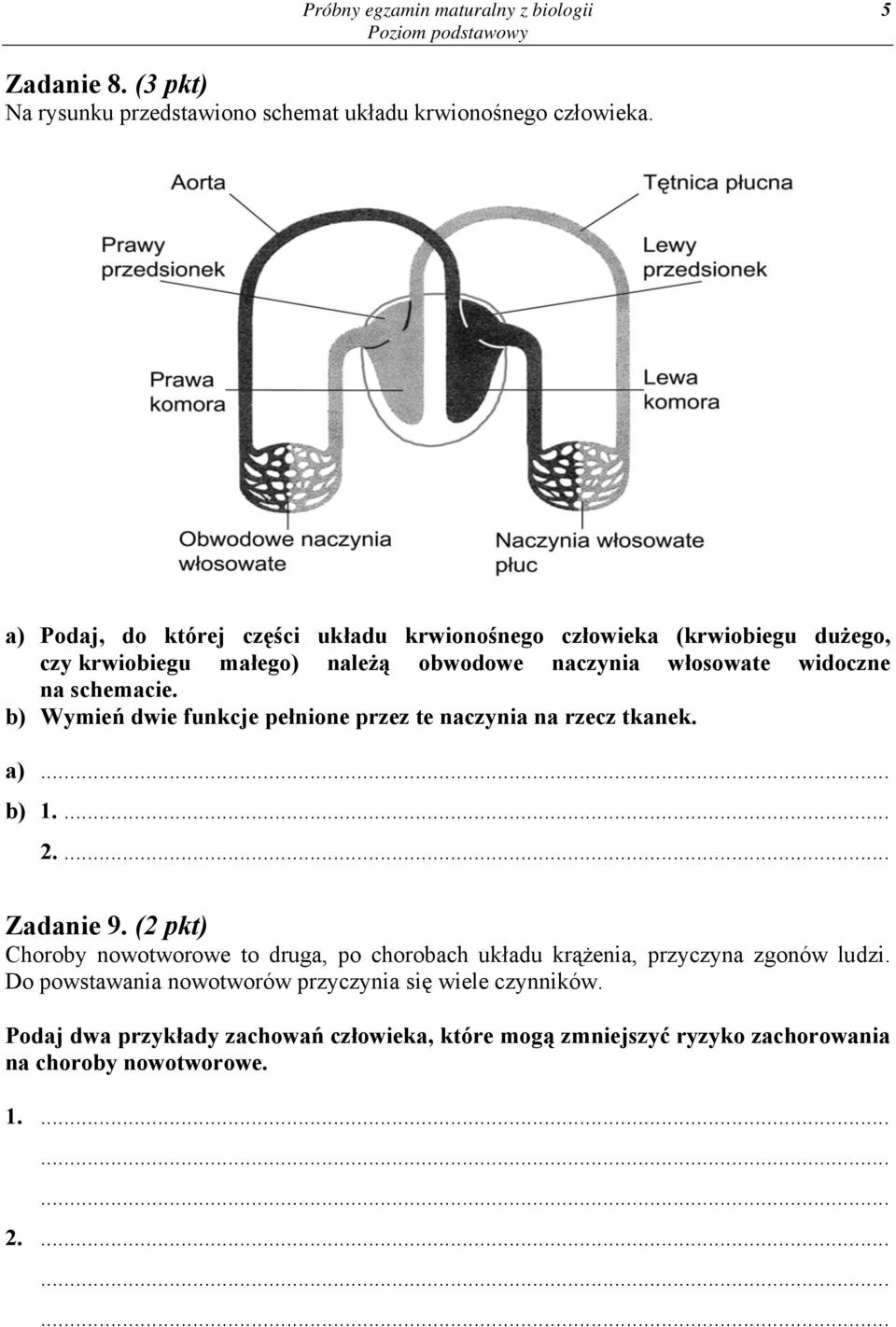 b) Wymień dwie funkcje pełnione przez te naczynia na rzecz tkanek. a) b) 1.... 2.... Zadanie 9.