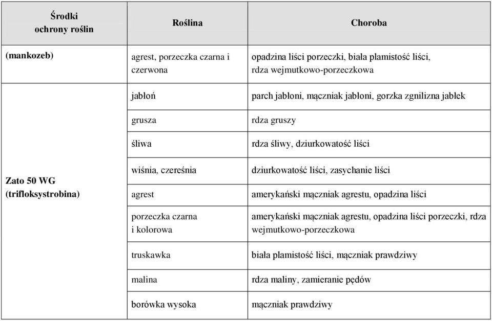 czarna i kolorowa borówka wysoka dziurkowatość liści, zasychanie liści amerykański mączniak agrestu, opadzina liści amerykański mączniak