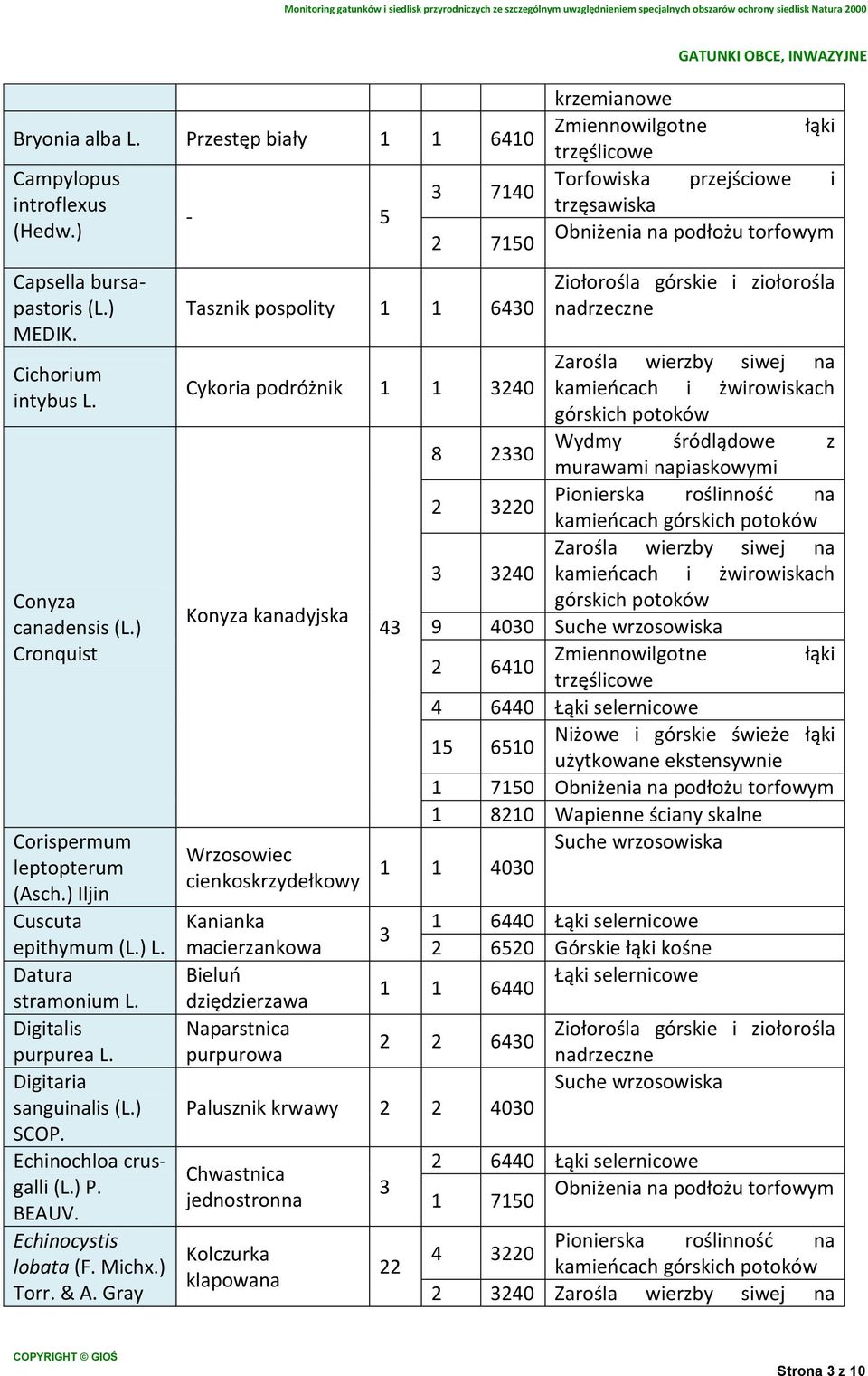 Gray - 5 3 7140 2 7150 Tasznik pospolity 1 1 6430 Torfowiska przejściowe i trzęsawiska Obniżenia na podłożu torfowym Cykoria podróżnik 1 1 3240 kamieńcach i żwirowiskach 8 2330 Wydmy śródlądowe z