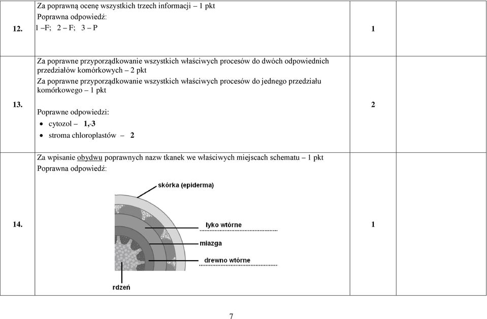 komórkowych pkt Za poprawne przyporządkowanie wszystkich właściwych procesów do jednego przedziału