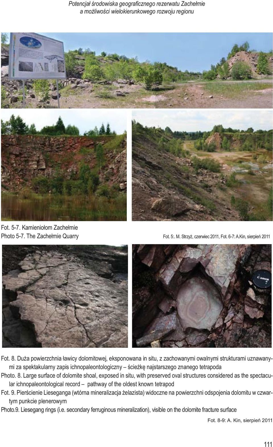 Duża powierzchnia ławicy dolomitowej, eksponowana in situ, z zachowanymi owalnymi strukturami uznawanymi za spektakularny zapis ichnopaleontologiczny ścieżkę najstarszego znanego tetrapoda Photo. 8.