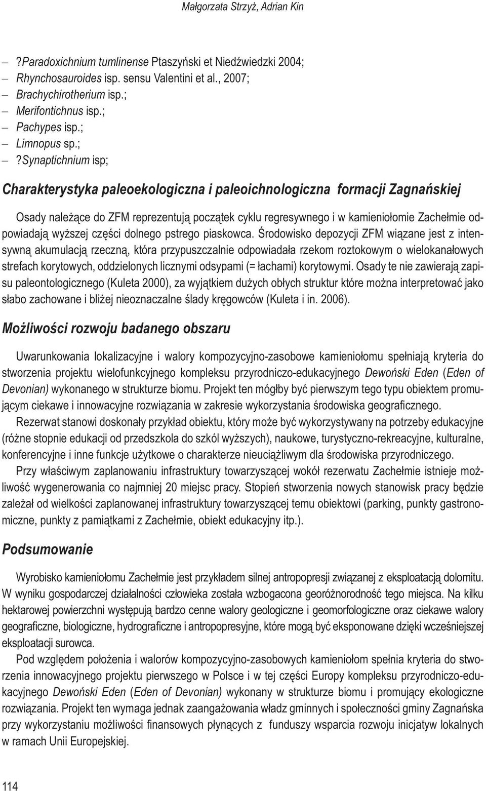 Zachełmie odpowiadają wyższej części dolnego pstrego piaskowca.