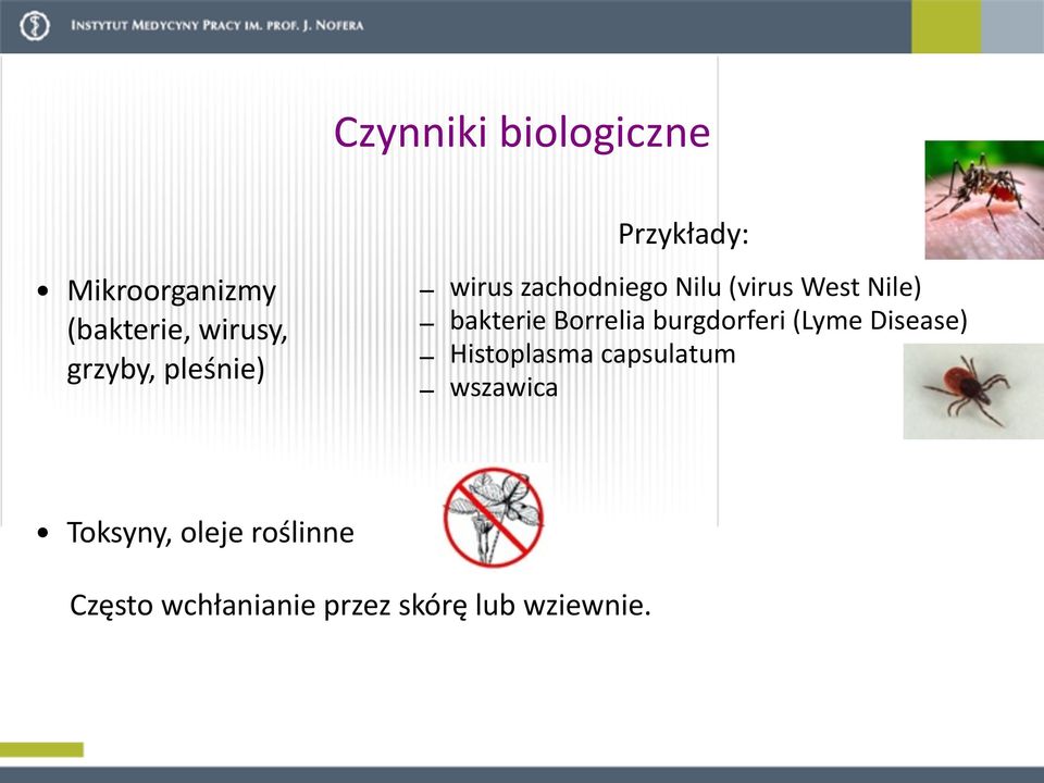 bakterie Borrelia burgdorferi (Lyme Disease) Histoplasma capsulatum