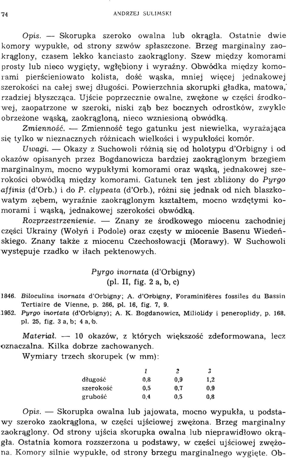 Obwódka m i ędzy komor am i pierścieniowato kolista, dość wąska, mniej więcej jednakowe j s z e ro k o ś c i na całej swej dłu gości. Powierzchnia skorupki gładka, matowa,' r zadziej błyszcząc a.