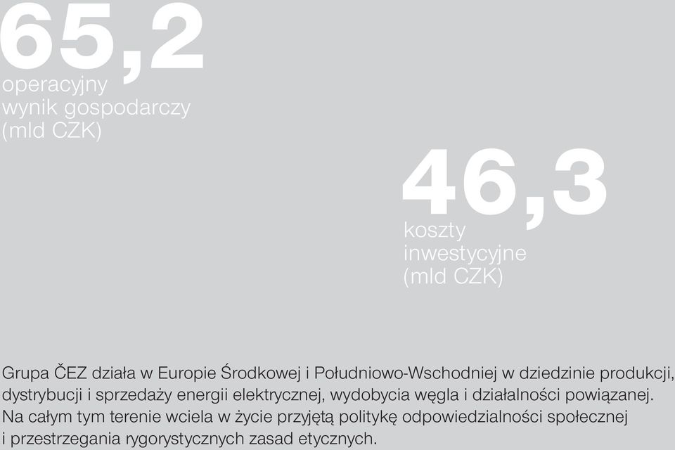 energii elektrycznej, wydobycia węgla i działalności powiązanej.