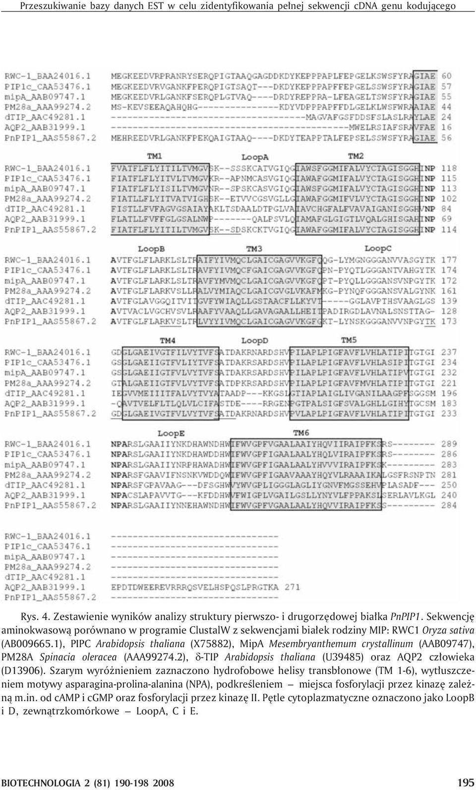 1), PIPC Arabidopsis thaliana (X75882), MipA Mesembryanthemum crystallinum (AAB09747), PM28A Spinacia oleracea (AAA99274.2), -TIP Arabidopsis thaliana (U39485) oraz AQP2 cz³owieka (D13906).