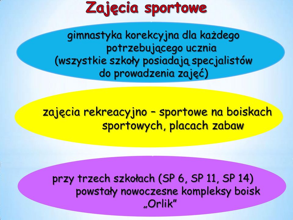 rekreacyjno sportowe na boiskach sportowych, placach zabaw przy