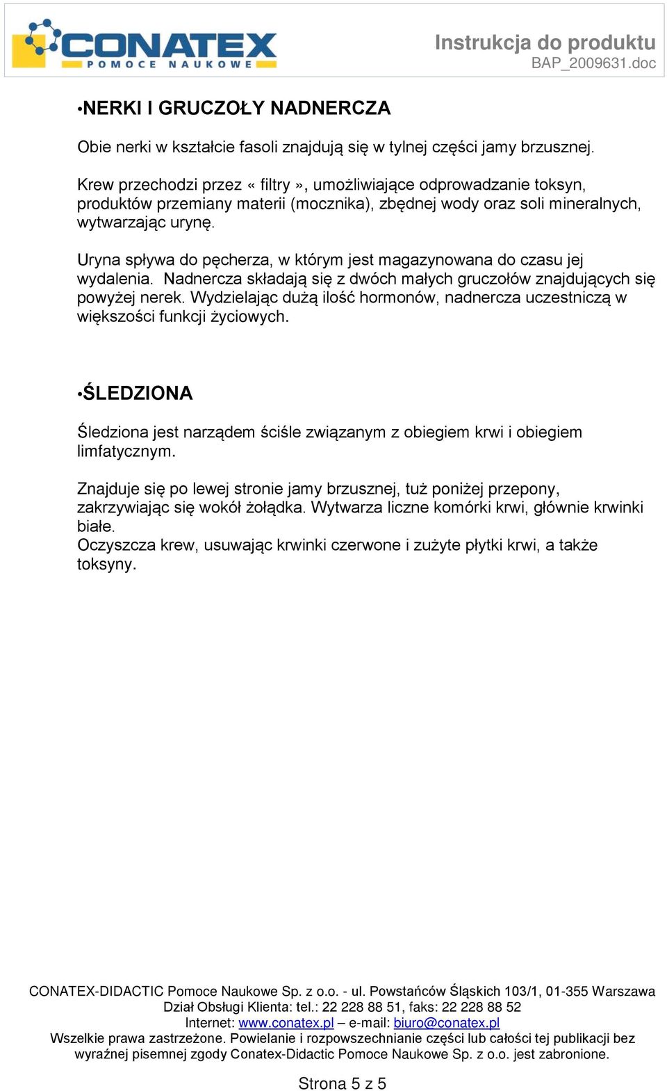 Uryna spływa do pęcherza, w którym jest magazynowana do czasu jej wydalenia. Nadnercza składają się z dwóch małych gruczołów znajdujących się powyżej nerek.