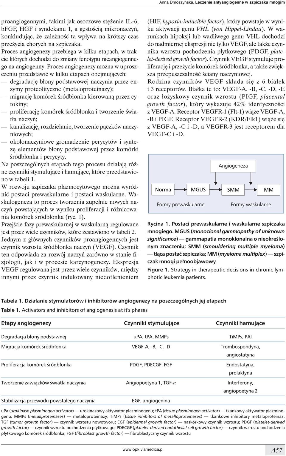 Proces angiogenezy można w uproszczeniu przedstawić w kilku etapach obejmujących: degradację błony podstawowej naczynia przez enzymy proteolityczne (metaloproteinazy); migrację komórek śródbłonka