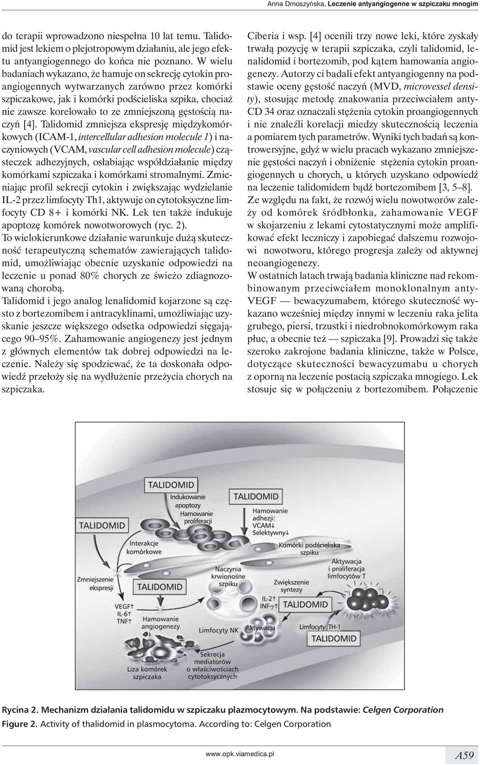 W wielu badaniach wykazano, że hamuje on sekrecję cytokin proangiogennych wytwarzanych zarówno przez komórki szpiczakowe, jak i komórki podścieliska szpika, chociaż nie zawsze korelowało to ze