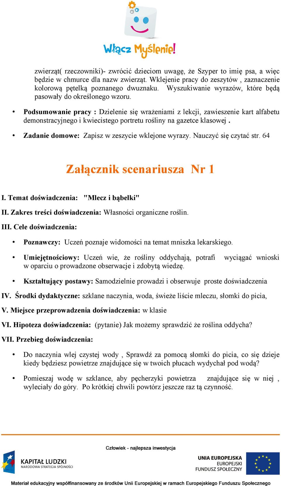 Podsumowanie pracy : Dzielenie się wrażeniami z lekcji, zawieszenie kart alfabetu demonstracyjnego i kwiecistego portretu rośliny na gazetce klasowej.