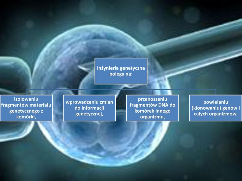 informacji genetycznej, przenoszeniu fragmentów DNA do