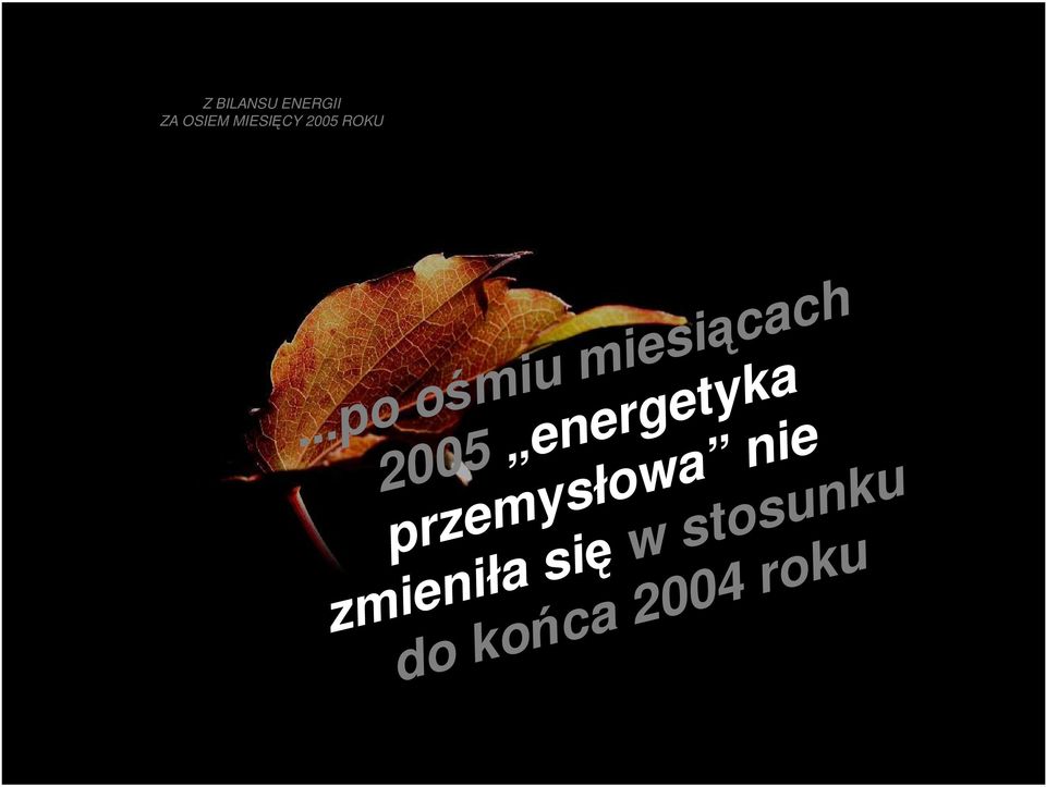 się w stosunku do końca 2004 roku Z