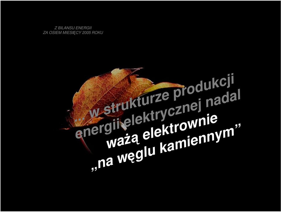 elektrownie na węglu kamiennym Z