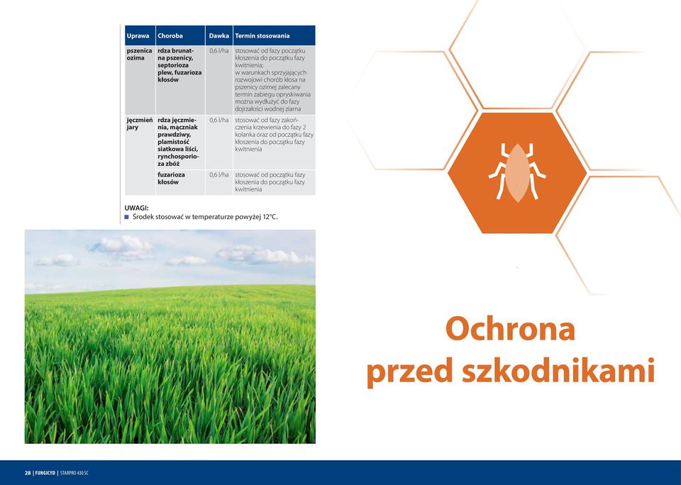 termin zabiegu opryskiwania można wydłużyć do fazy dojrzałości wodnej ziarna 0,6 l/ha stosować od fazy zakończenia krzewienia do fazy 2 kolanka oraz od początku fazy kłoszenia do początku