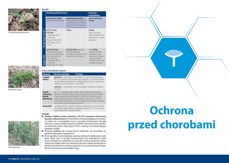 owies głuchy, chwastnica jednostronna, włośnica sina oraz samosiewy zbóż zwalczane wiosną chwasty wieloletnie perz właściwy i inne 1 l/ha 2 l/ha (przy wyższej dawce całkowicie niszczone są rozłogi