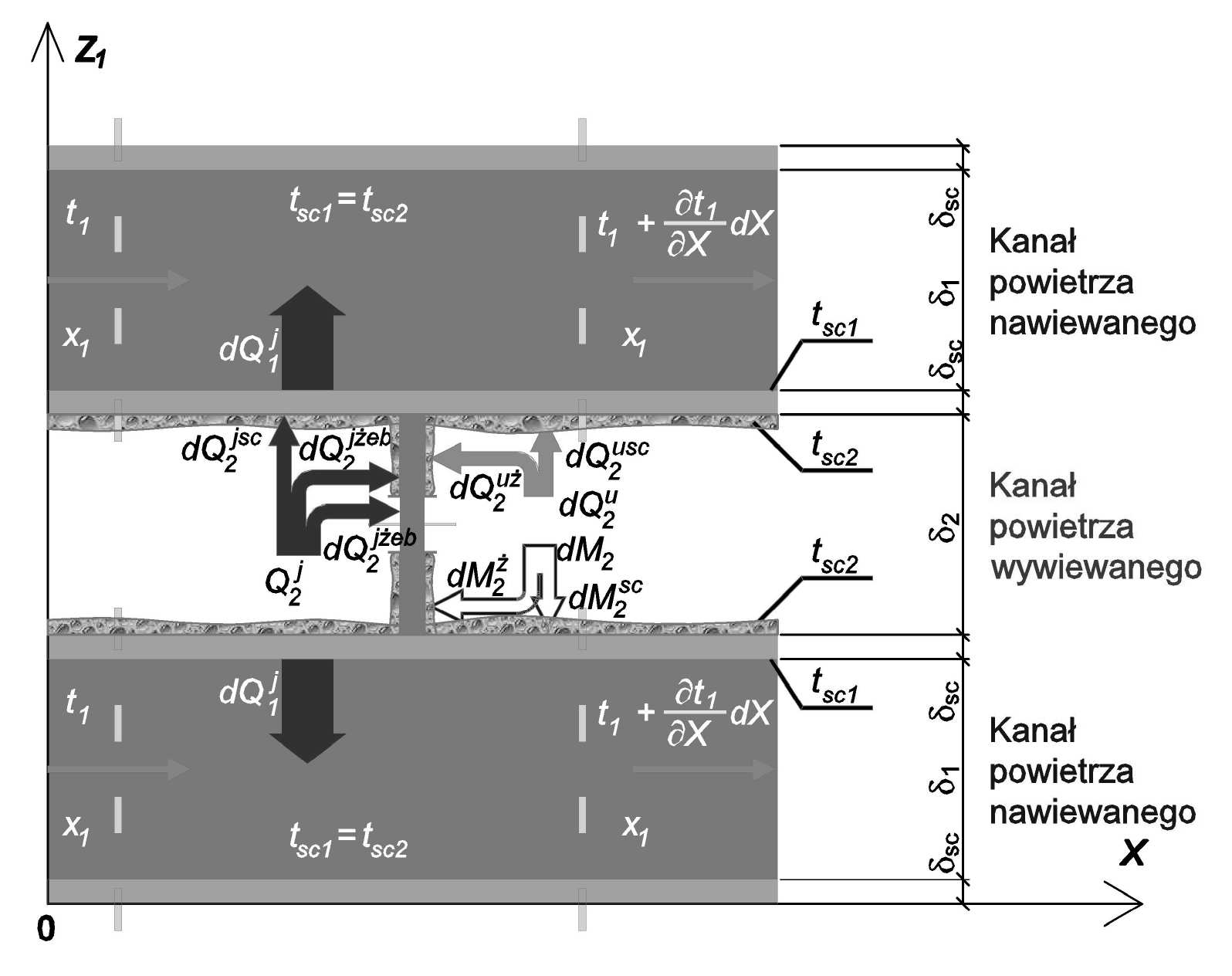 Andrzej JEDLIKOWSKI, Maciej SKRZYCKI, Daria DENISIKHINA Równania fizyko-matematycznego modelu procesów wymiany ciepła i masy realizowane są w kartezjańskim układzie współrzędnych.