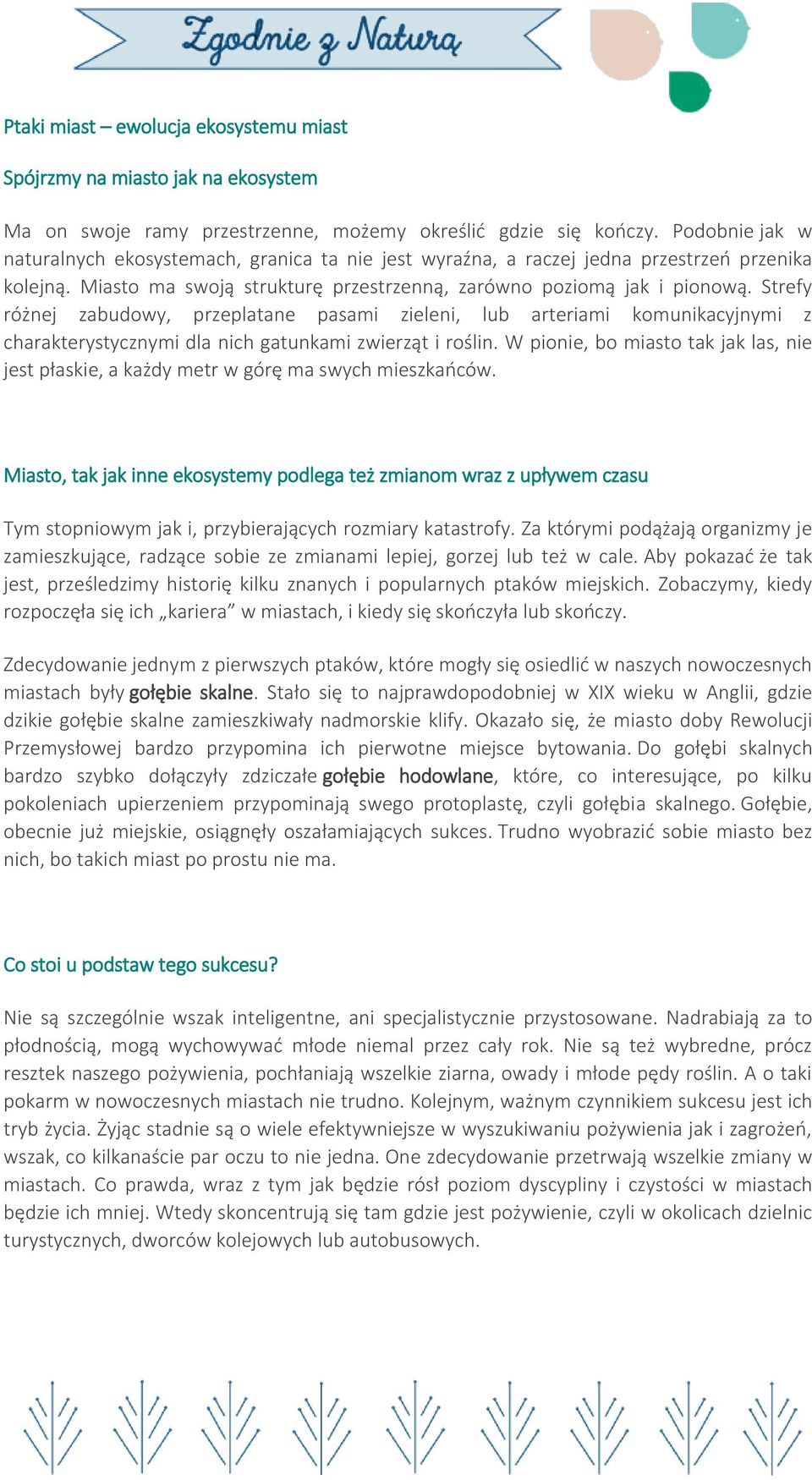 Strefy różnej zabudowy, przeplatane pasami zieleni, lub arteriami komunikacyjnymi z charakterystycznymi dla nich gatunkami zwierząt i roślin.