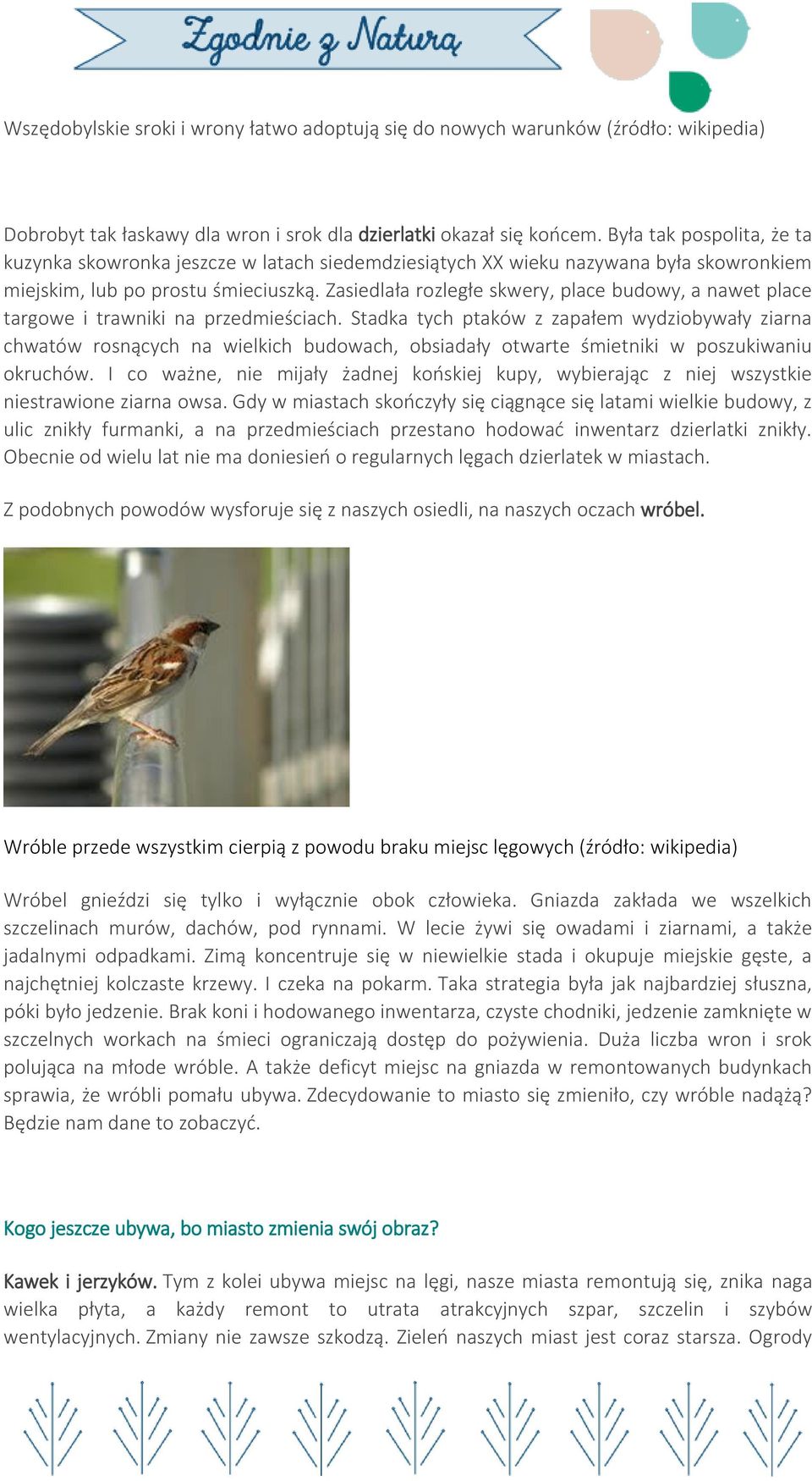 Zasiedlała rozległe skwery, place budowy, a nawet place targowe i trawniki na przedmieściach.