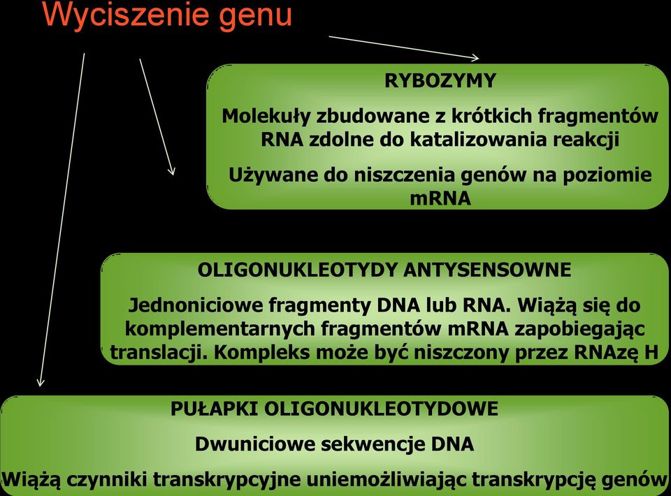 Wiążą się do komplementarnych fragmentów mrna zapobiegając translacji.