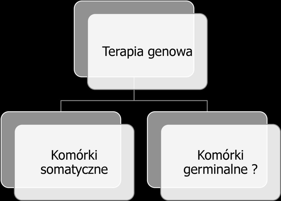 Komórki