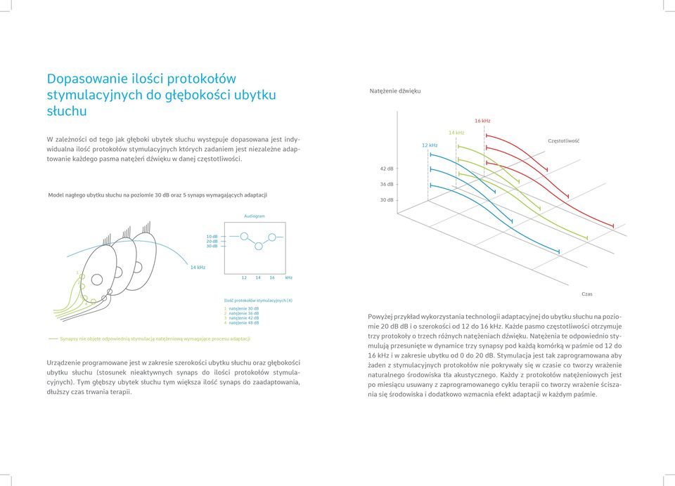 42 db 36 db Model nagłego ubytku słuchu na poziomie 30 db oraz 5 synaps wymagających adaptacji 30 db Audiogram 10 db 20 db 30 db 1 2 14 khz 12 14 16 khz 3 4 1 natężenie 30 db 2 natężenie 36 db 3