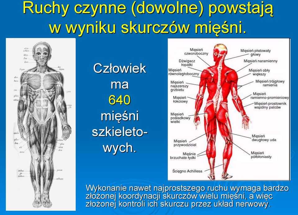 Wykonanie nawet najprostszego ruchu wymaga bardzo złożonej