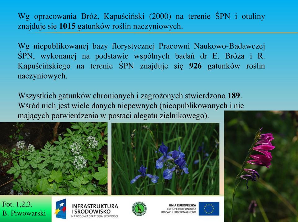 Kapuścińskiego na terenie ŚPN znajduje się 926 gatunków roślin naczyniowych.