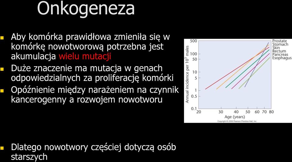 odpowiedzialnych za proliferację komórki Opóźnienie między narażeniem na