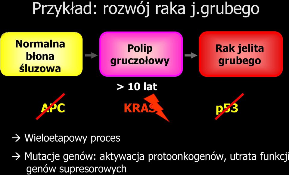 10 lat Rak jelita grubego APC KRAS p53 Wieloetapowy