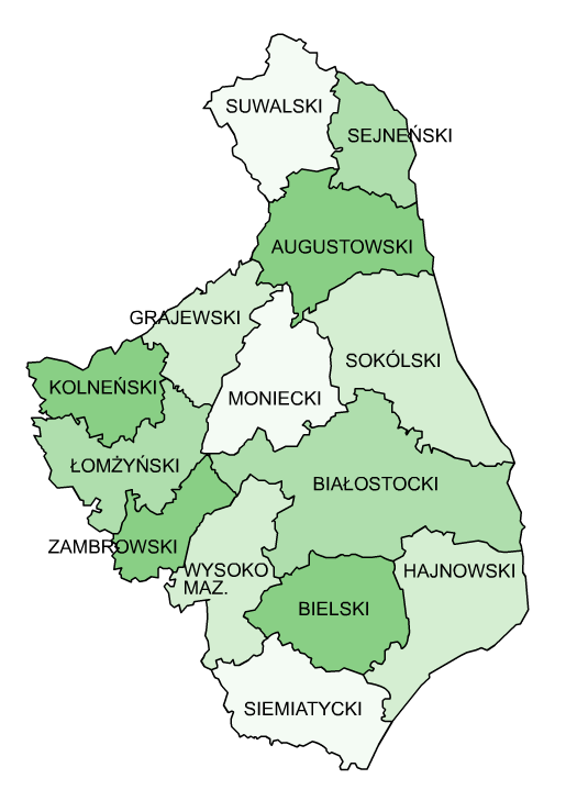 Podregion łomżyński obejmujący swoim działaniem powiaty: łomżyński, wysokomazowiecki, grajewski, kolneński, zambrowski, obsługiwany przez Lokalny Punkt Informacji mający siedzibę w Łomży.