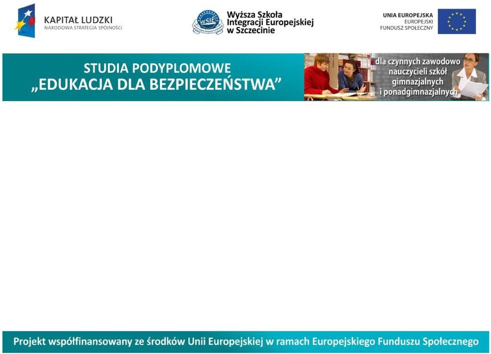 wyjścia do opracowania strategii sektorowych w dziedzinach mających podstawowe znaczenie dla bezpieczeństwa i obronności