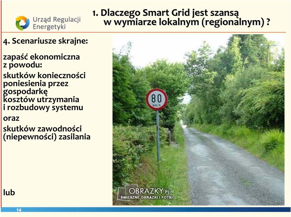 poniesienia przez gospodarkę kosztów utrzymania i rozbudowy systemu oraz