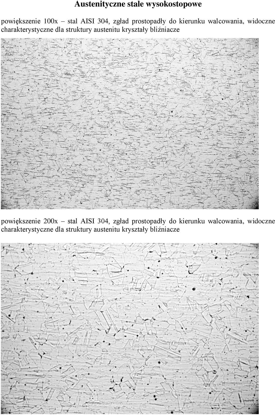 austenitu kryształy bliźniacze powiększenie 200x stal AISI 304, zgład  austenitu