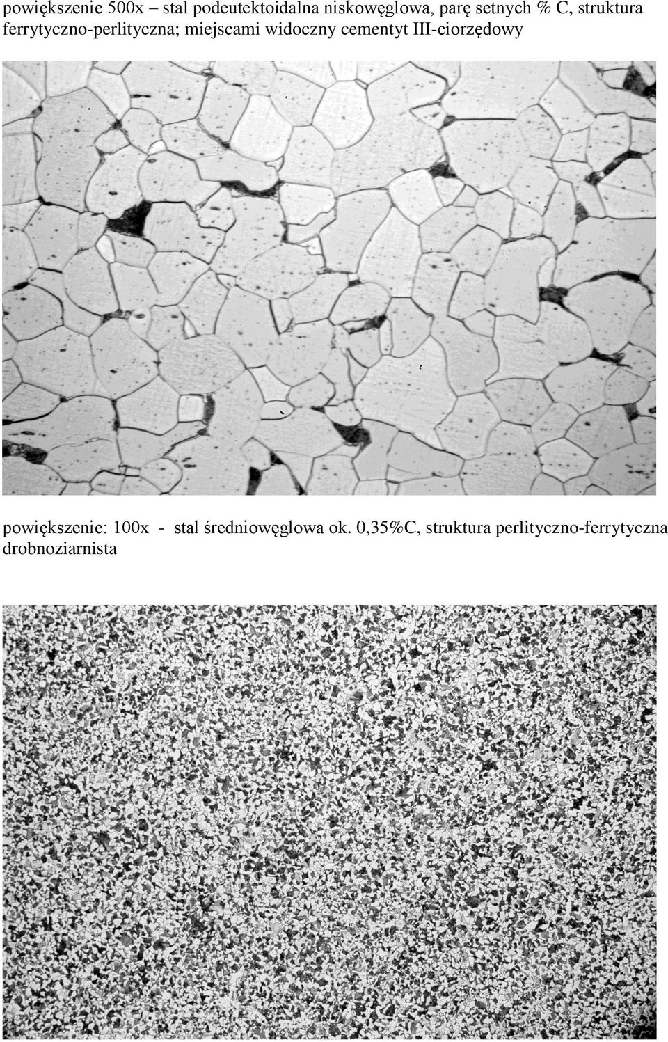 widoczny cementyt III-ciorzędowy powiększenie: 100x - stal