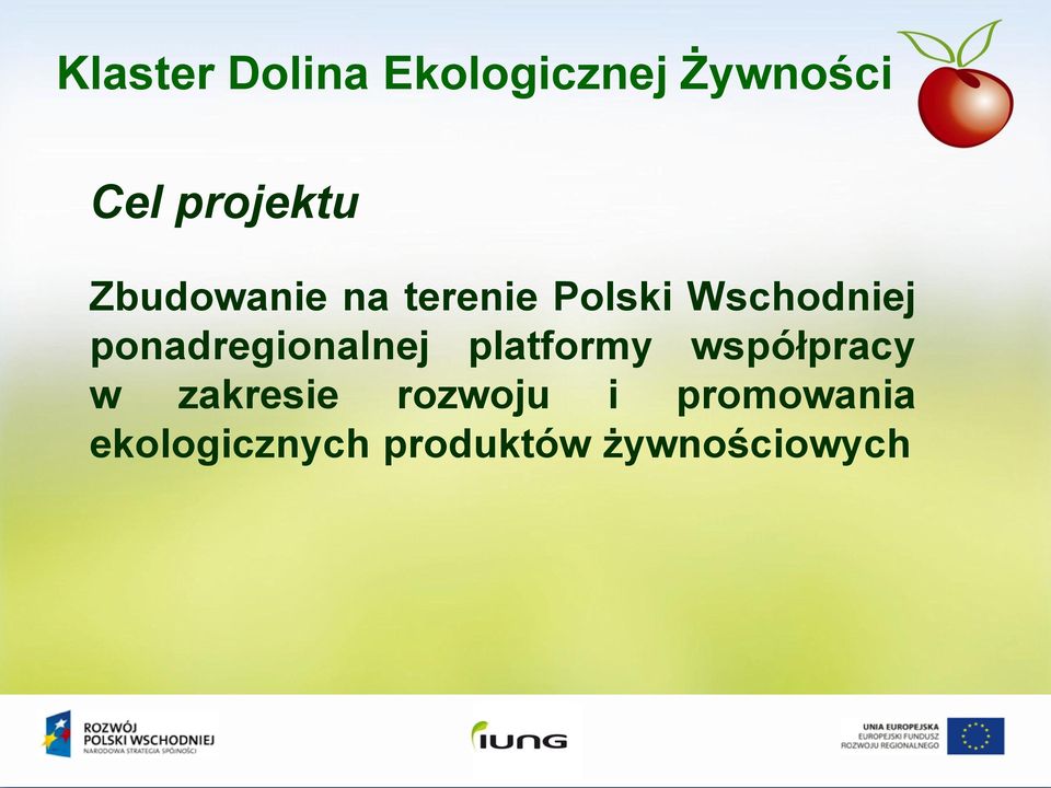 ponadregionalnej platformy współpracy w zakresie