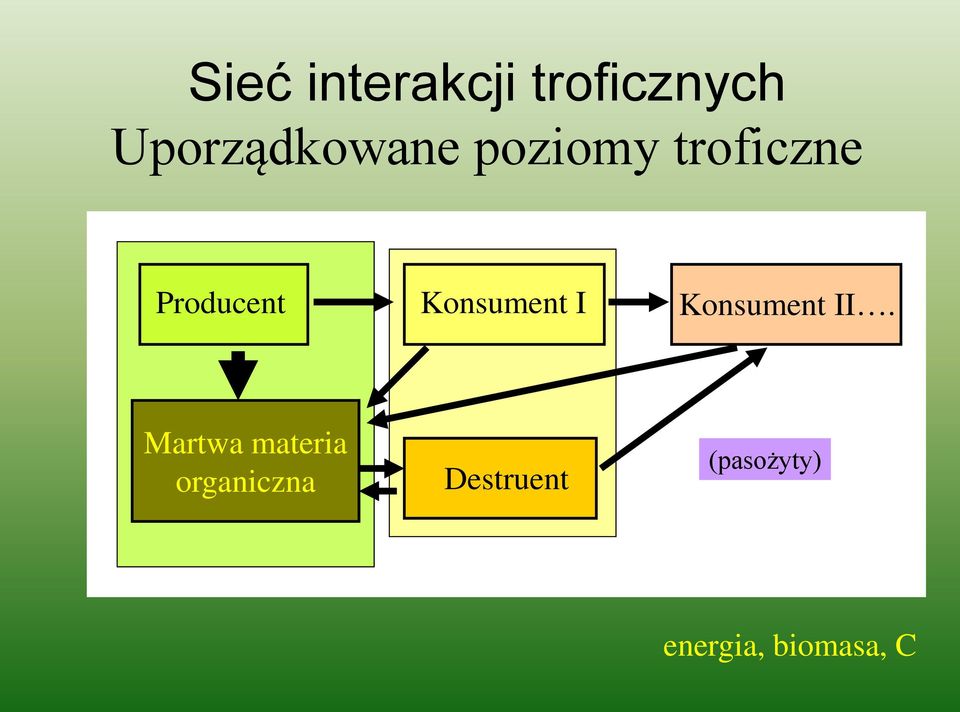 Producent Konsument I Konsument II.