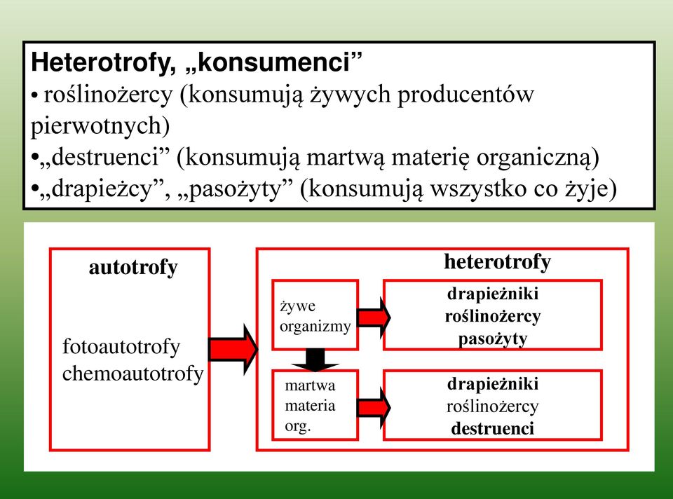 wszystko co żyje) autotrofy fotoautotrofy chemoautotrofy żywe organizmy martwa