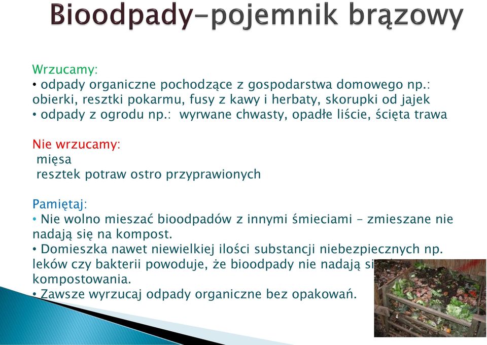 : wyrwane chwasty, opadłe liście, ścięta trawa Nie wrzucamy: mięsa resztek potraw ostro przyprawionych Pamiętaj: Nie wolno mieszać