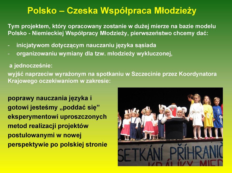 młodzieży wykluczonej, a jednocześnie: wyjść naprzeciw wyrażonym na spotkaniu w Szczecinie przez Koordynatora Krajowego oczekiwaniom w