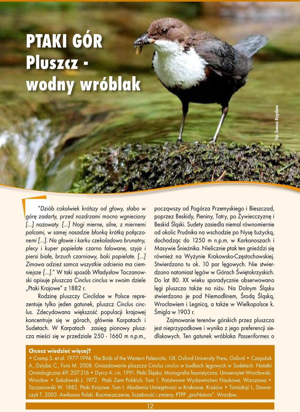 [...] Zimowa odzież samca wszystkie odcienia ma ciemniejsze [...]. W taki sposób Władysław Taczanowski opisuje pluszcza Cinclus cinclus w swoim dziele Ptaki Krajowe z 1882 r.