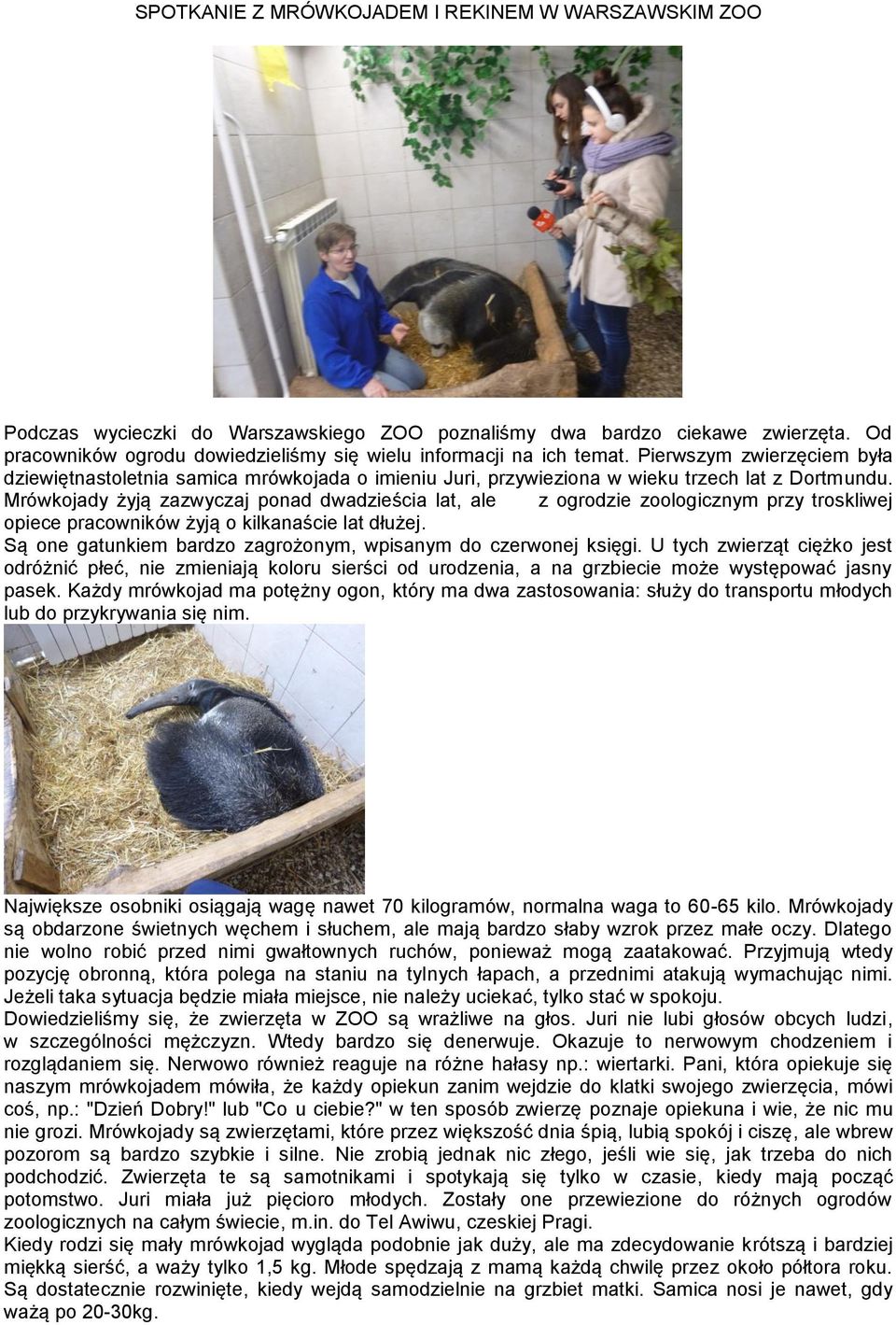 Mrówkojady żyją zazwyczaj ponad dwadzieścia lat, ale z ogrodzie zoologicznym przy troskliwej opiece pracowników żyją o kilkanaście lat dłużej.