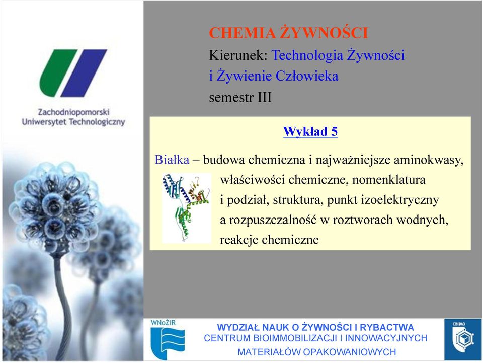 w#a"ciwo"ci chemiczne, nomenklatura i podzia#, struktura, punkt izoelektryczny a